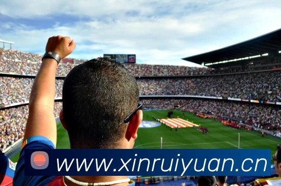 世界杯官网平台平台生态图